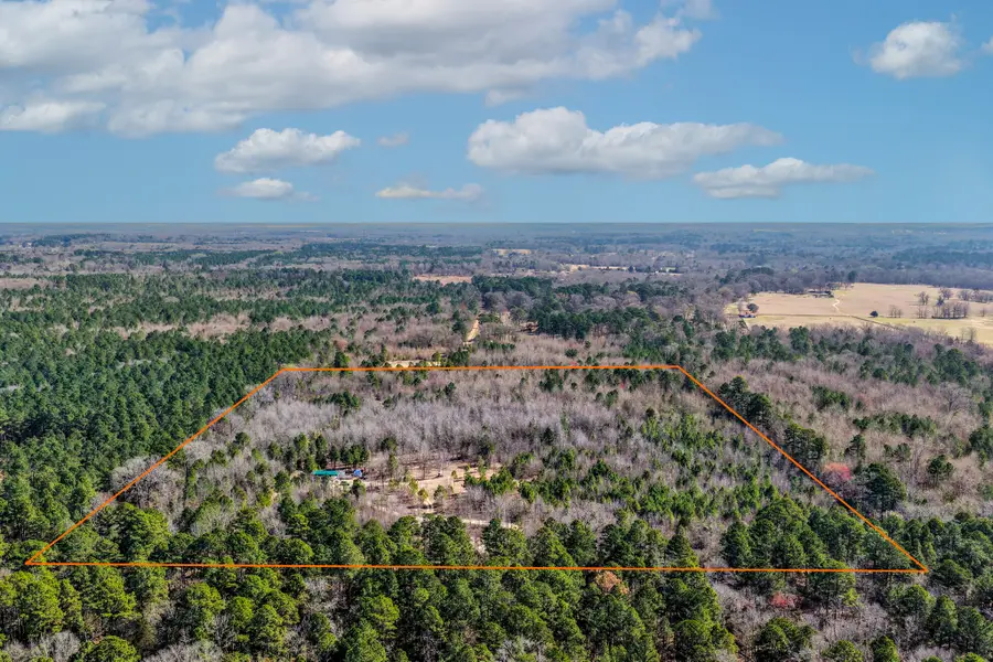 1462 Mole Road, Winnsboro, TX 75494 - #3