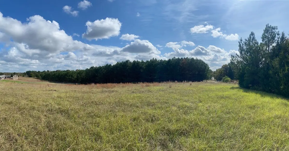 2685 Hawk Road, Diana, TX 75640 - #1