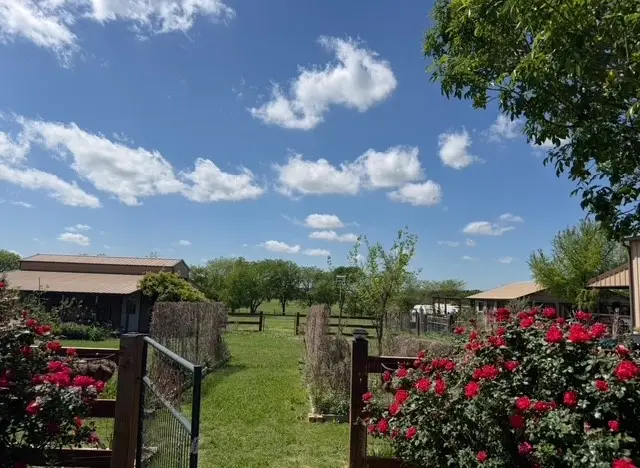 8463 Crestview Road, Sanger, TX 76266 - #2