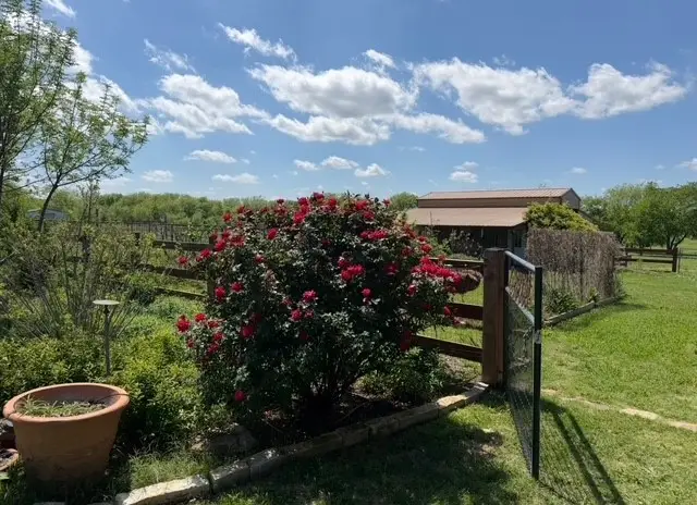 8463 Crestview Road, Sanger, TX 76266 - #3