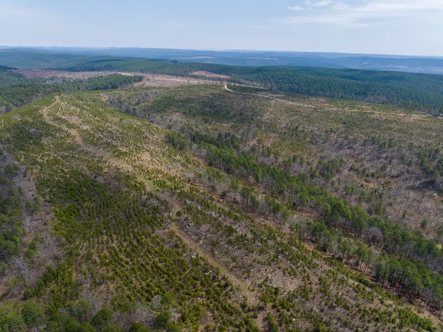 1 Off N4220, Antlers, OK 74523 - #2