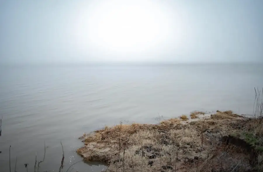 7375 Open Water Point, Quinlan, TX 75474 - #2