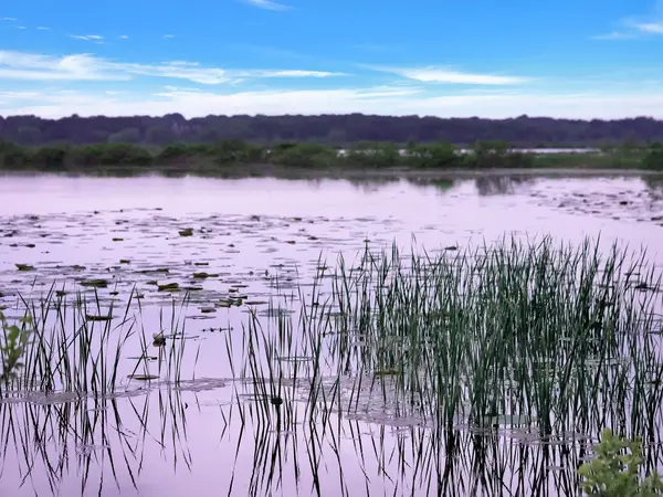 TBD Meridian Lane, Gordonville, TX 76245