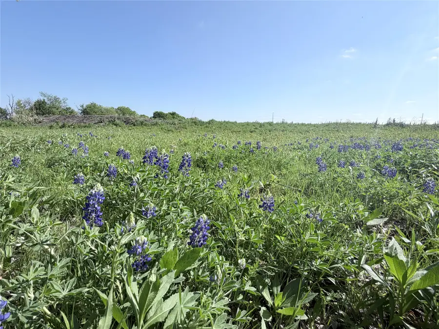 TBD County Road 3204, Abbott, TX 76621 - #2