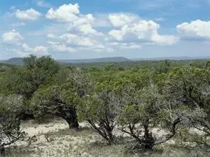 TBD Cr2010 Road #4, Glen Rose, TX 76043