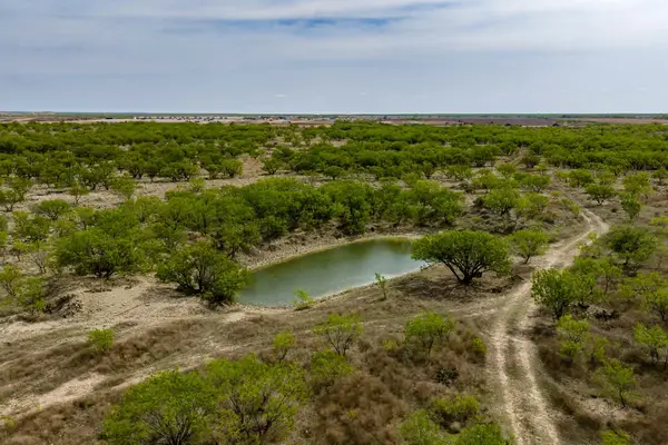 TBD Rockdale Road, No City, TX 79533