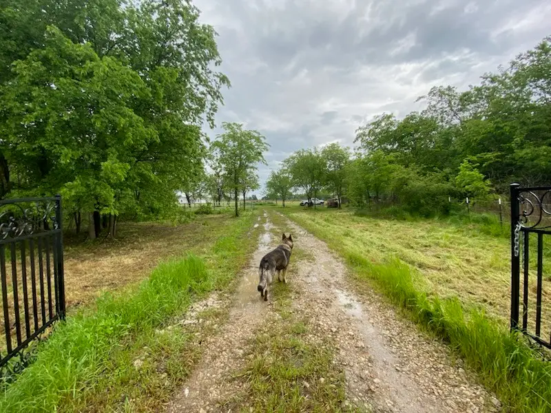 37444 State Highway 64, Wills Point, TX 75169 - #2