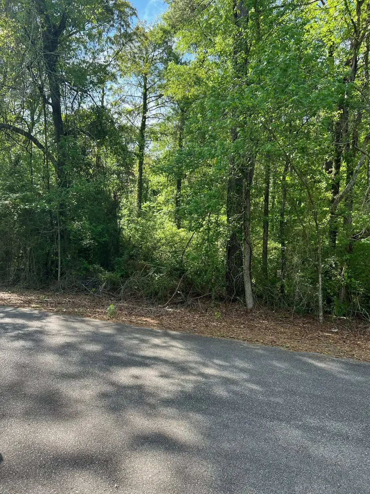 0 Esthlyn, Keithville, LA 71047 - #1