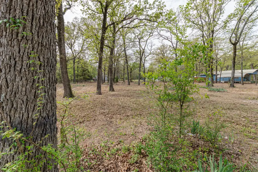 13995 E Travis Lane, Log Cabin, TX 75148 - #2