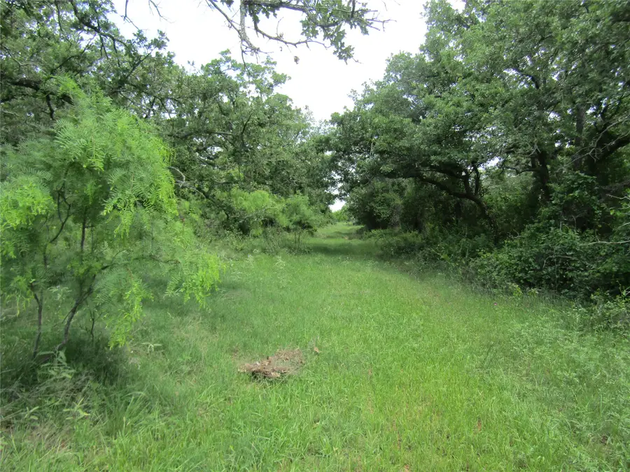 TBD County Road 268, Tract A, Rising Star, TX 76471 - #2