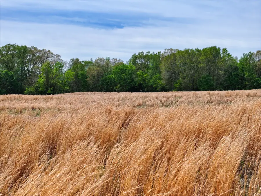 0 County Road 4249, De Kalb, TX 75559 - #3