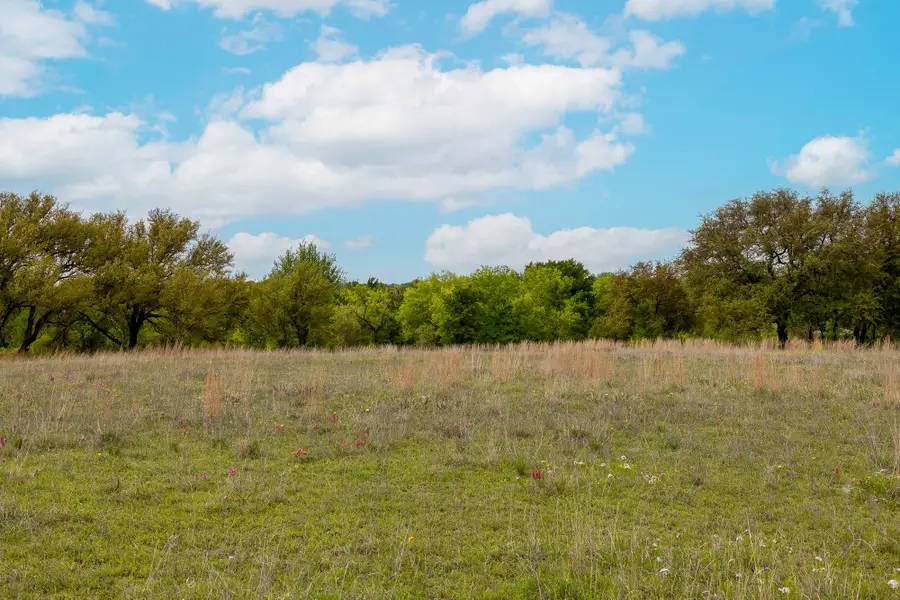 000 Mason Court, Dublin, TX 76446 - #3