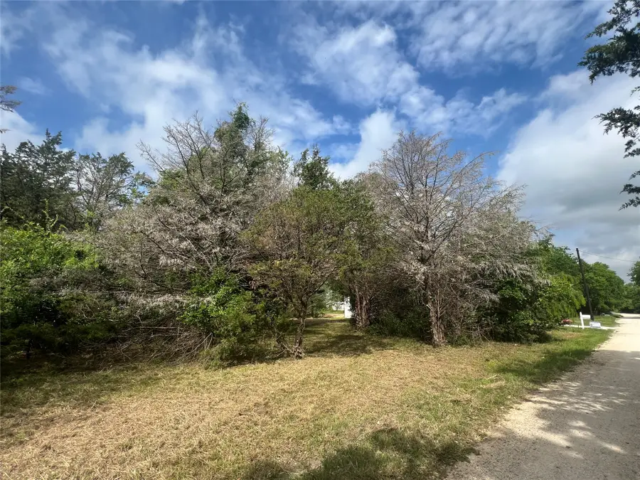 L194-195 NW County Road 3112, Purdon, TX 76679 - #3