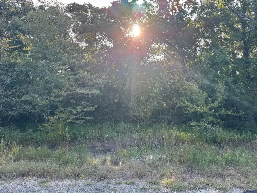 0 R And R Circle #Lot 12, Kemp, TX 75143 - #3