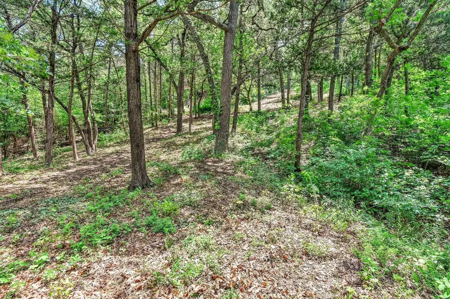 65 Lakewood Lane, Pottsboro, TX 75076 - #2