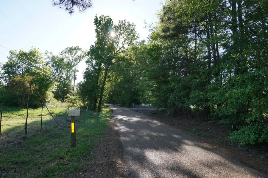 6902 Stella Street, Murchison, TX 75778 - #2