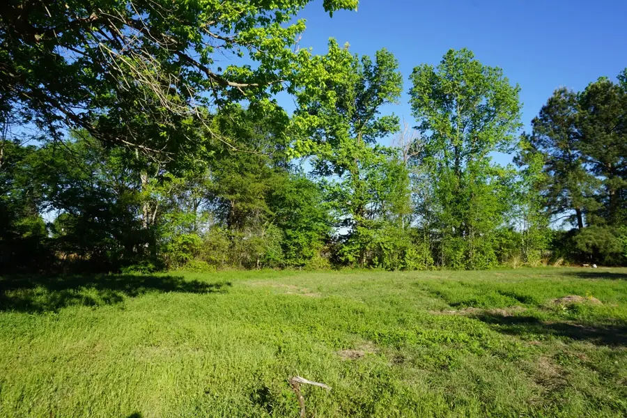 6902 Stella Street, Murchison, TX 75778 - #3