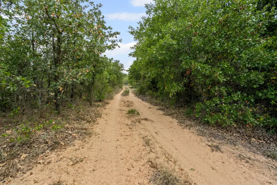 451 County Road 4975, Desdemona, TX 76445 - #2