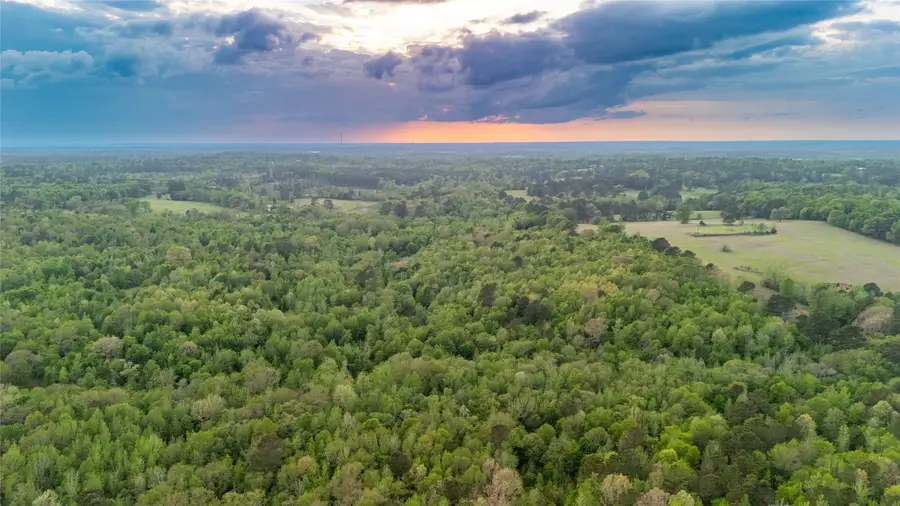 000 Fm 838, Overton, TX 75684 - #2