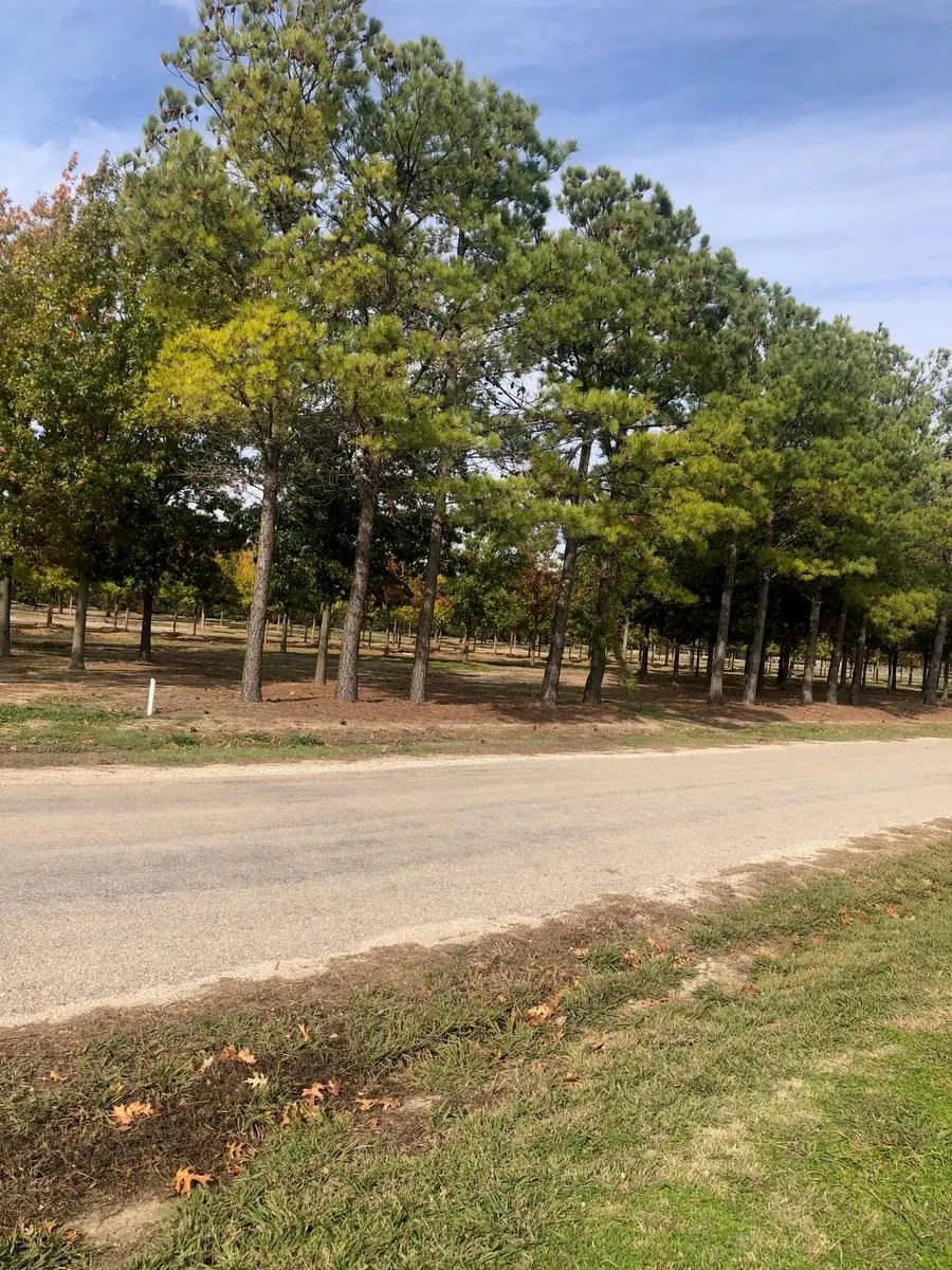 TBD Jenkins Road, Collinsville, TX 76233 - #2