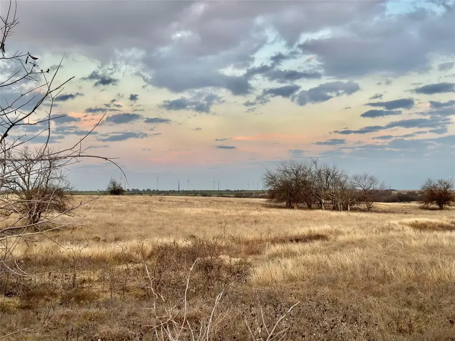 Lot 6 County Road 353, Gainesville, TX 76240 - #2
