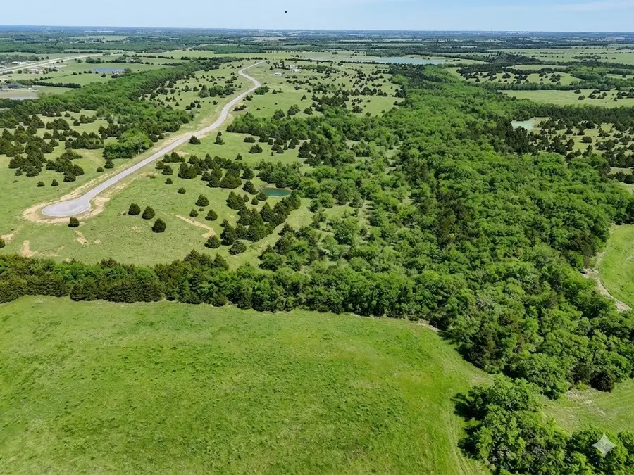 0007 Private Road 291 Road, Dodd City, TX 75438 - #3