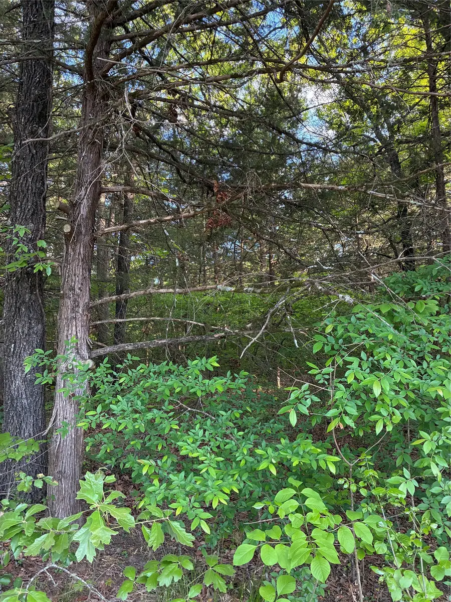 2900 Mc Burnett Dr, Honey Grove, TX 75446 - #2