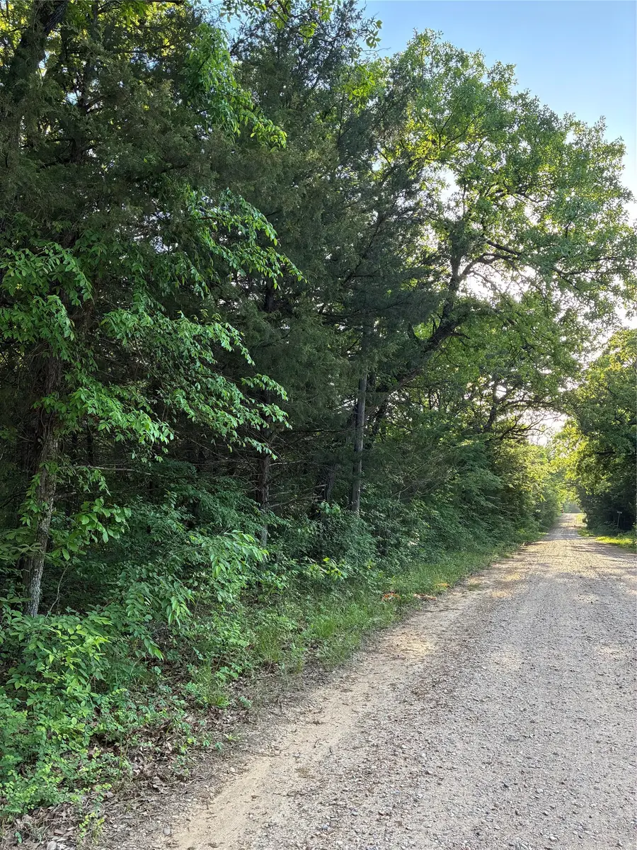 2900 Mc Burnett Dr, Honey Grove, TX 75446 - #3