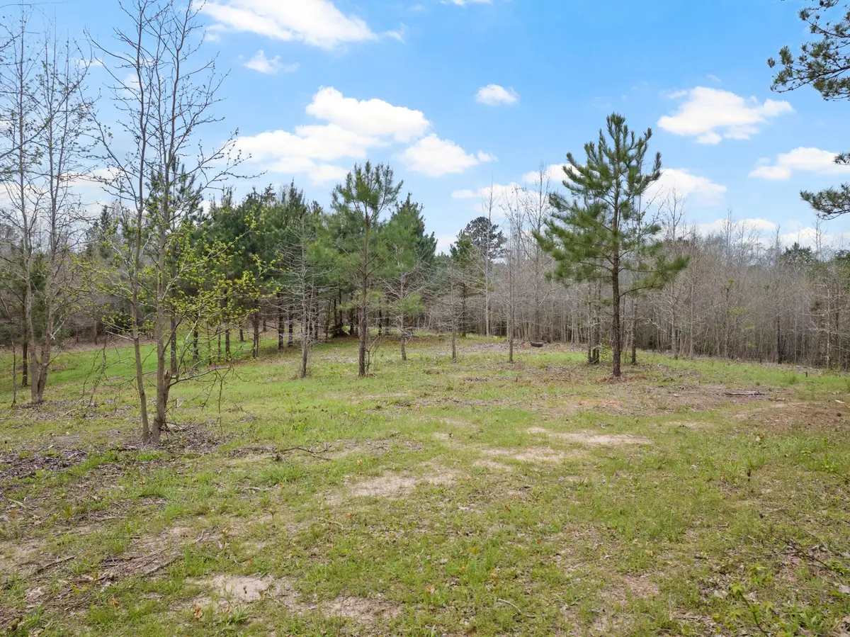 TBD Cr 2920, Hughes Springs, TX 75656 - #1