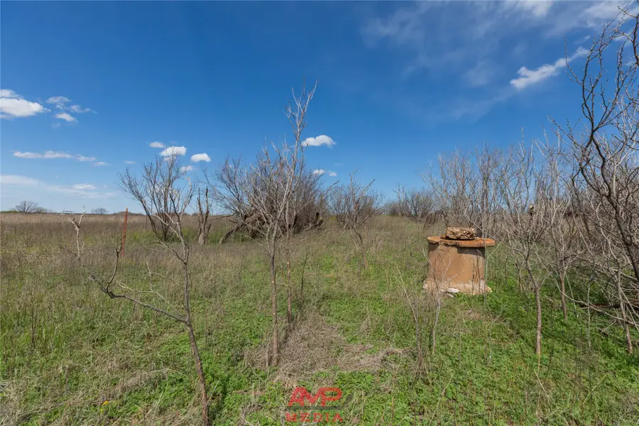 tract 3 Cr 463, Anson, TX 79501 - #2