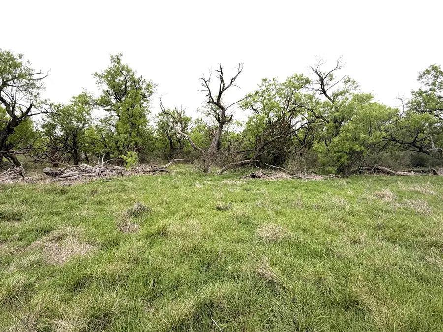 TBD Cr 156, Breckenridge, TX 76424 - #3