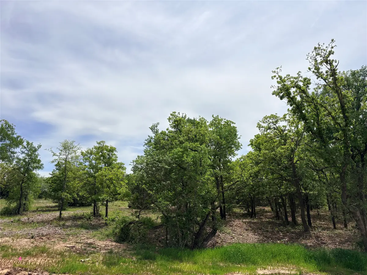 135 Turtle Back Ridge, Decatur, TX 76234 - #1