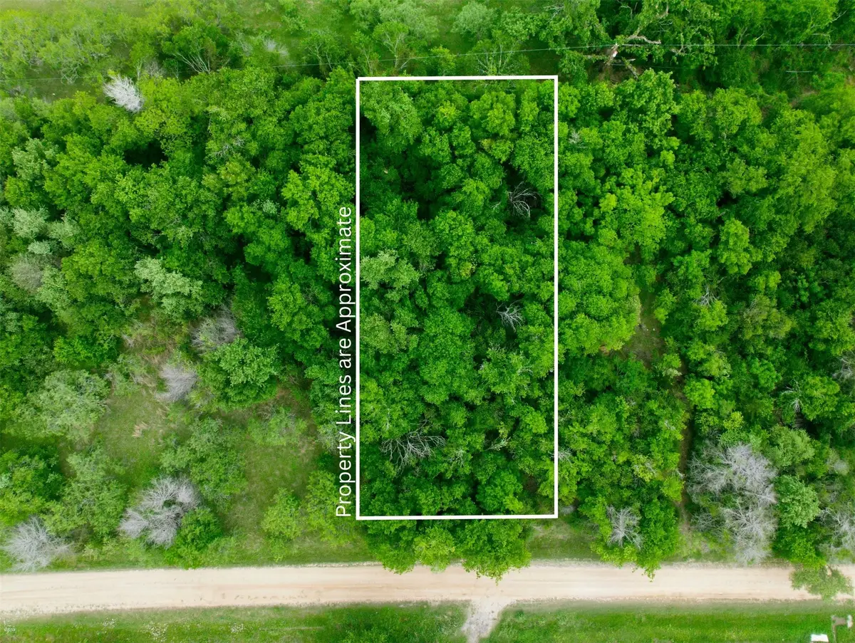 TBD Melondale Drive, Elm Mott, TX 76640 - #1