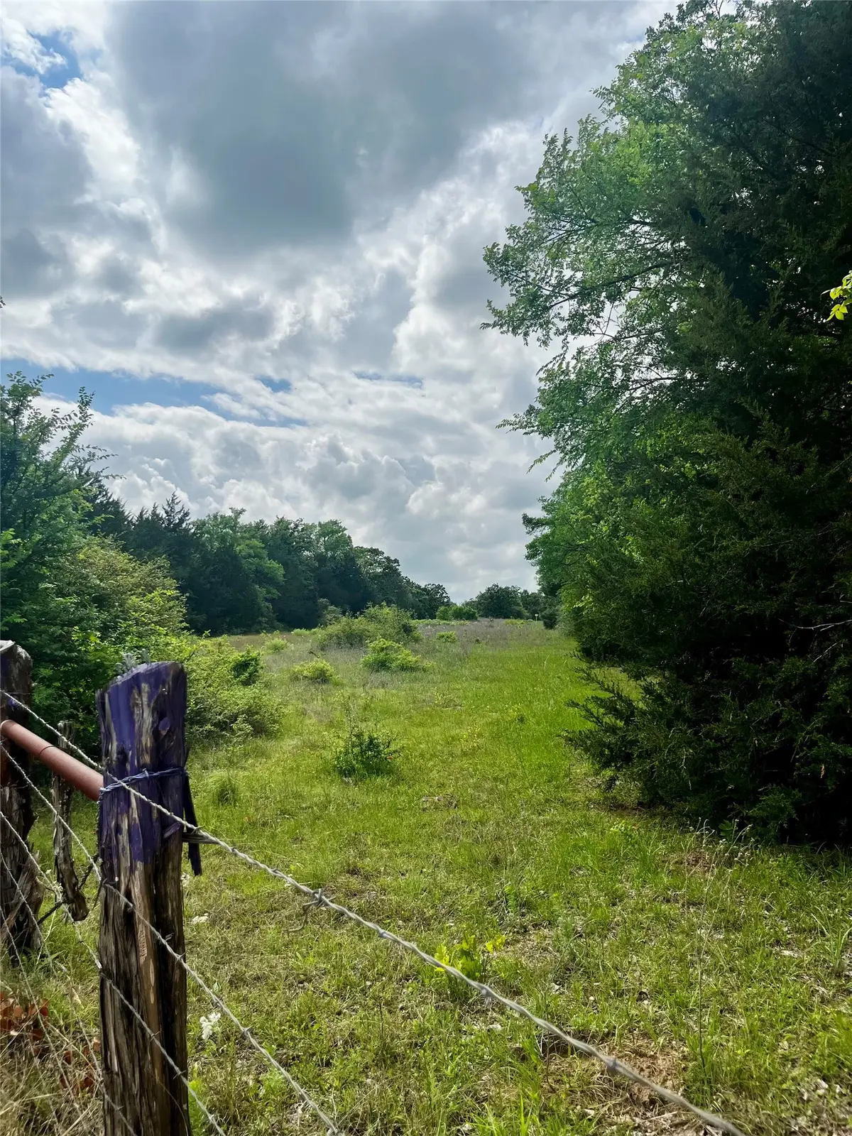 TBD Pr 5787, Groesbeck, TX 76642 - #1