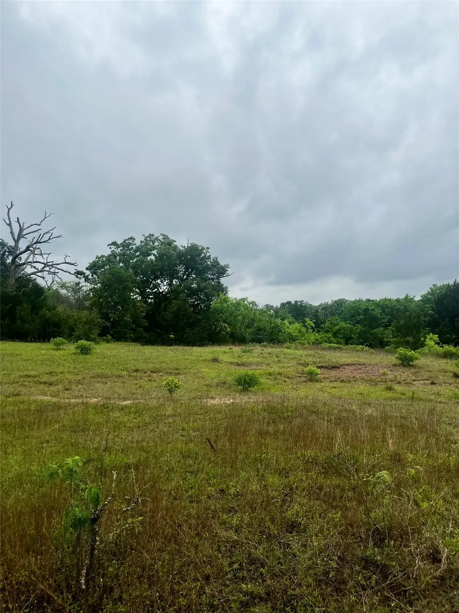 TBD Pr 5787, Groesbeck, TX 76642 - #2