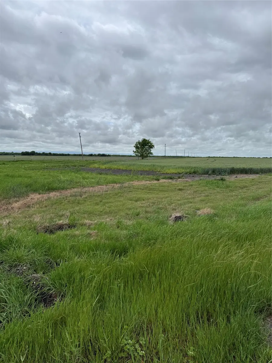 0000 Fm 1533, Pecan Gap, TX 75432 - #2