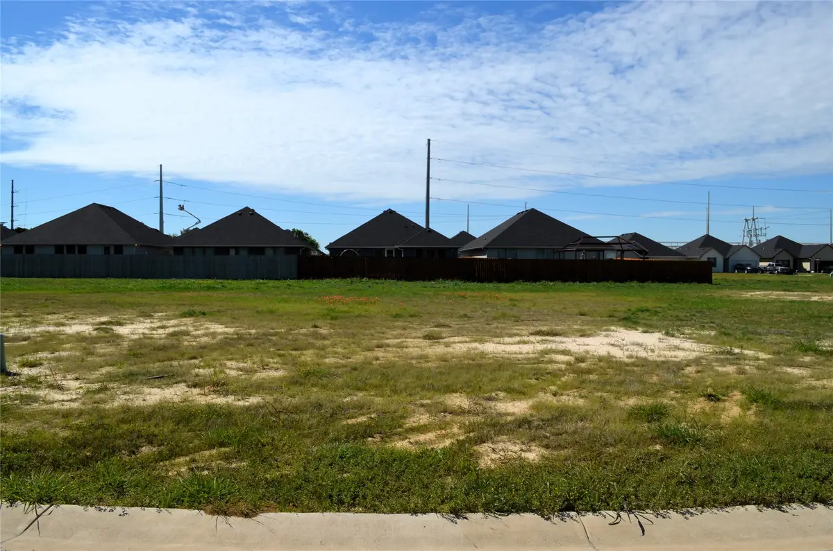 313 Preston Road, Mabank, TX 75147 - #1