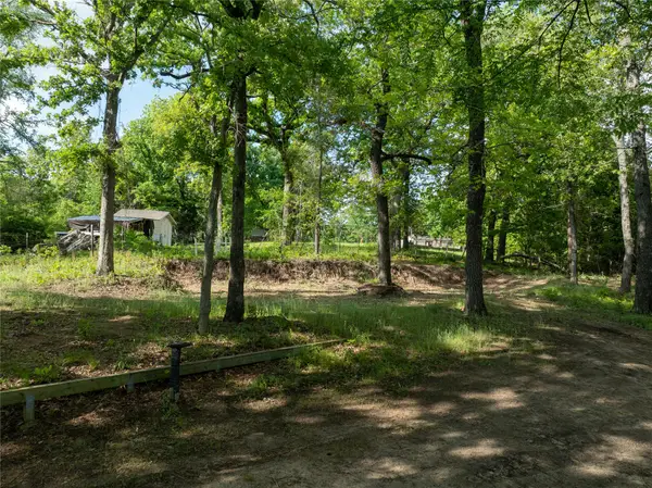 175 North Lake Drive, Murchison, TX 75778