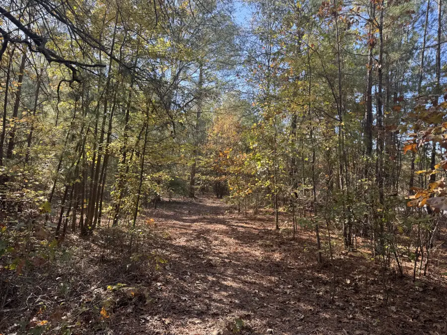 00 Cr 2451, Clarksville, TX 75426 - #3