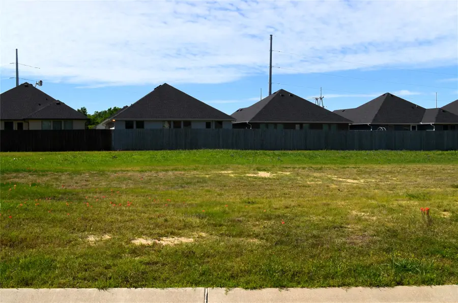 307 Preston Road, Mabank, TX 75147 - #2