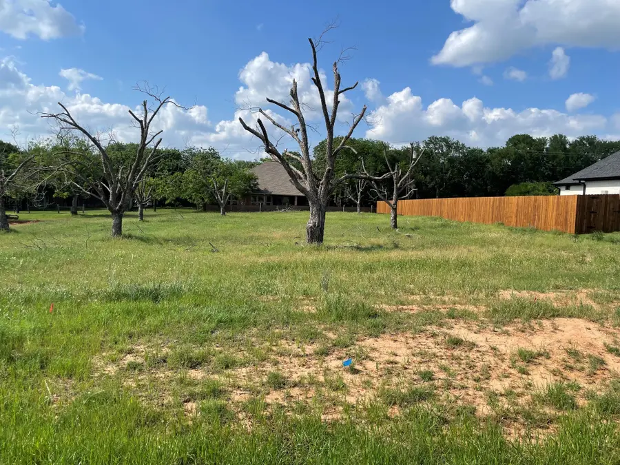 2412 Candlestick Drive, Granbury, TX 76049 - #2