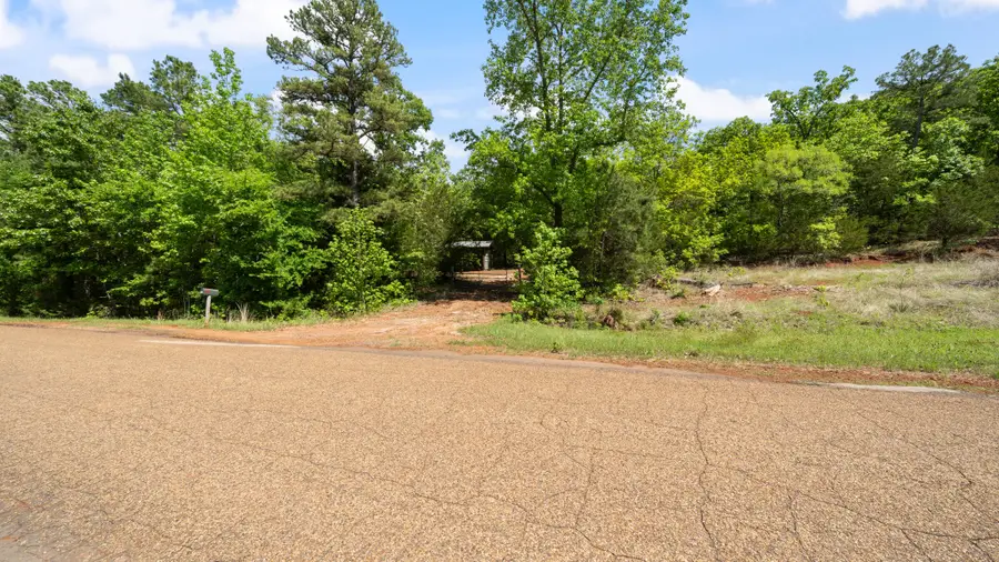 TBD County Road 4915, Ben Wheeler, TX 75754 - #2