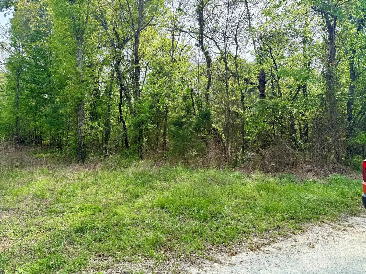 TBD County Road 4131, Mount Vernon, TX 75457 - #1