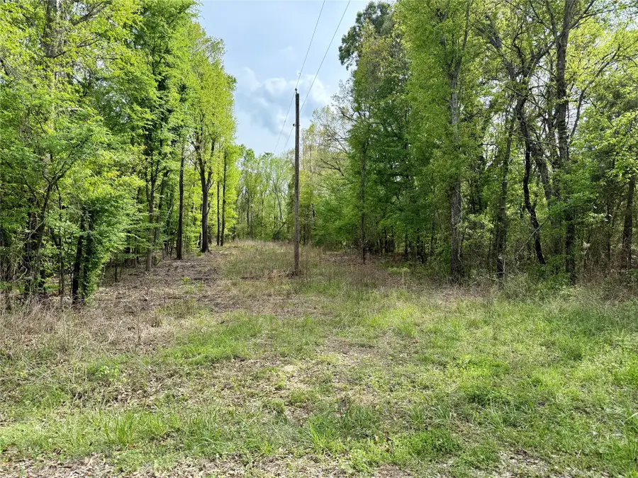 TBD County Road 4131, Mount Vernon, TX 75457 - #2