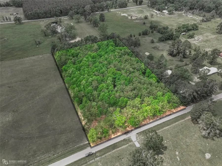 0 Palamino Drive, Grand Cane, LA 71032 - #2