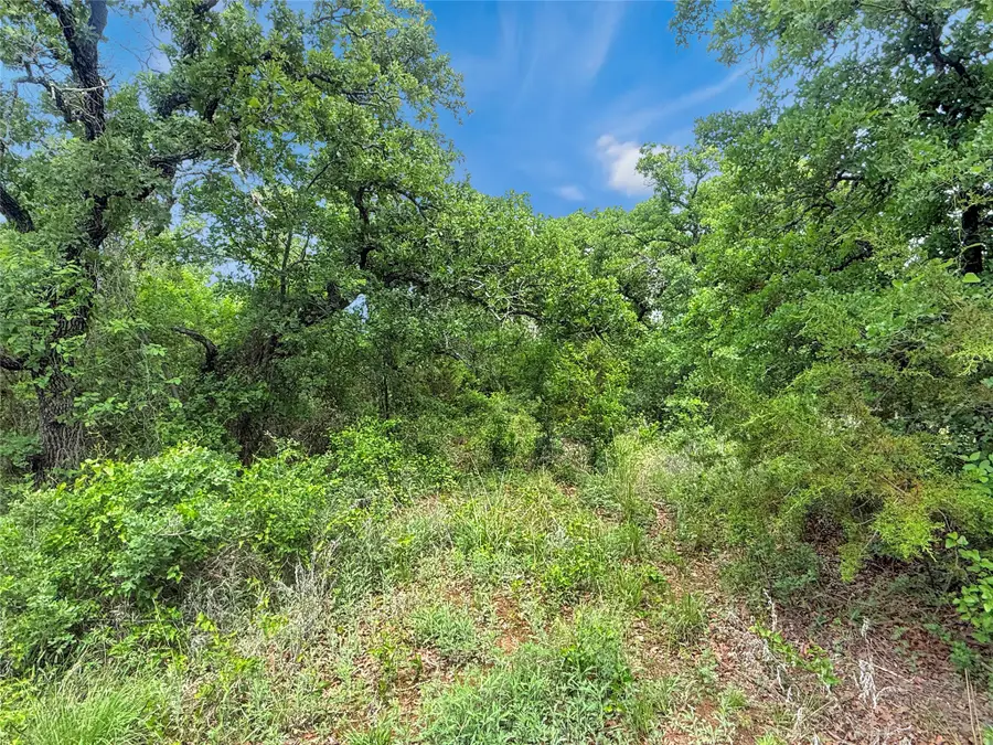 TBD Comanche Moon Drive, Mingus, TX 76463 - #3