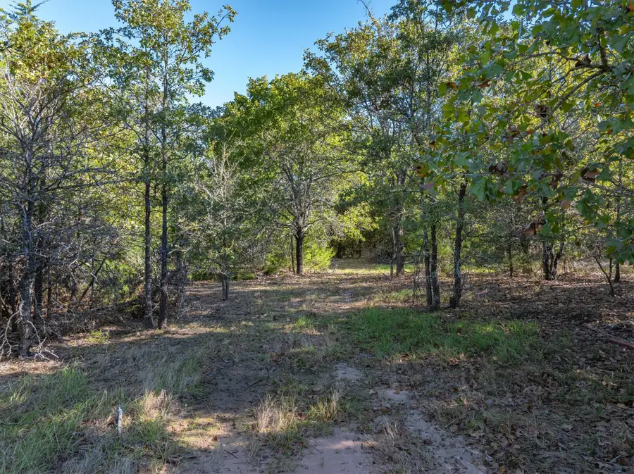 8157 County Rd 2418, Royse City, TX 75189 - #2