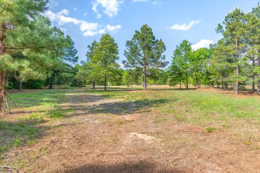 00 Hwy 69, Alba, TX 75410 - #3