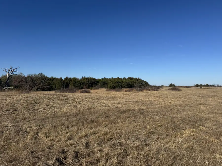 TBD Tract 8 Fm 2675, Roxton, TX 75477 - #3