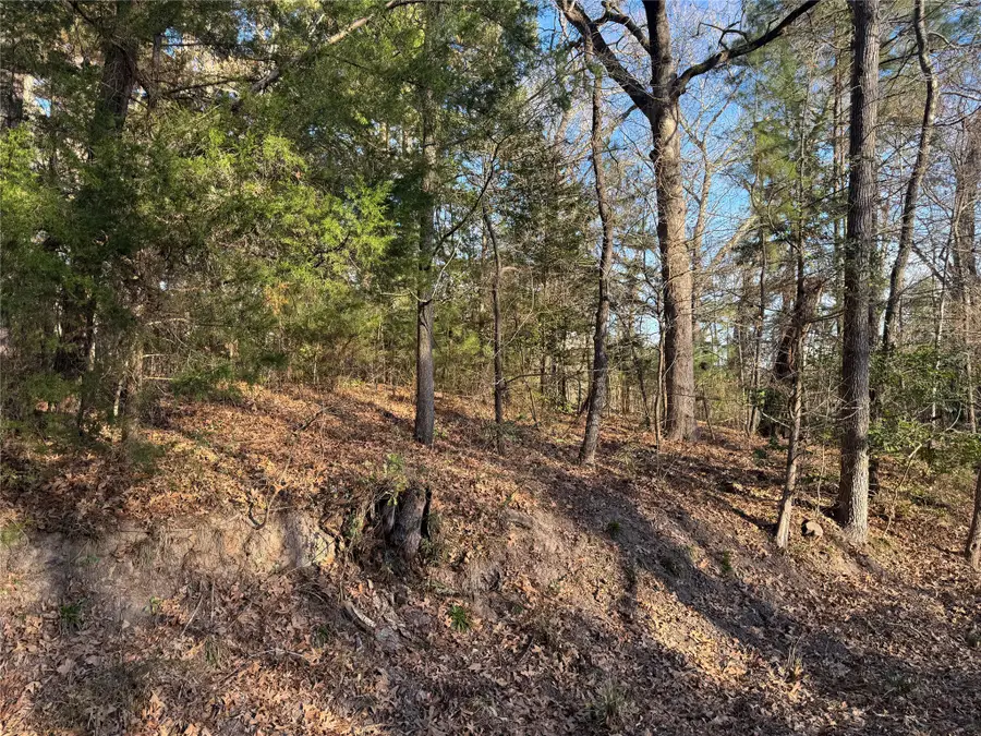 1527 Fm 778, Quitman, TX 75783 - #2